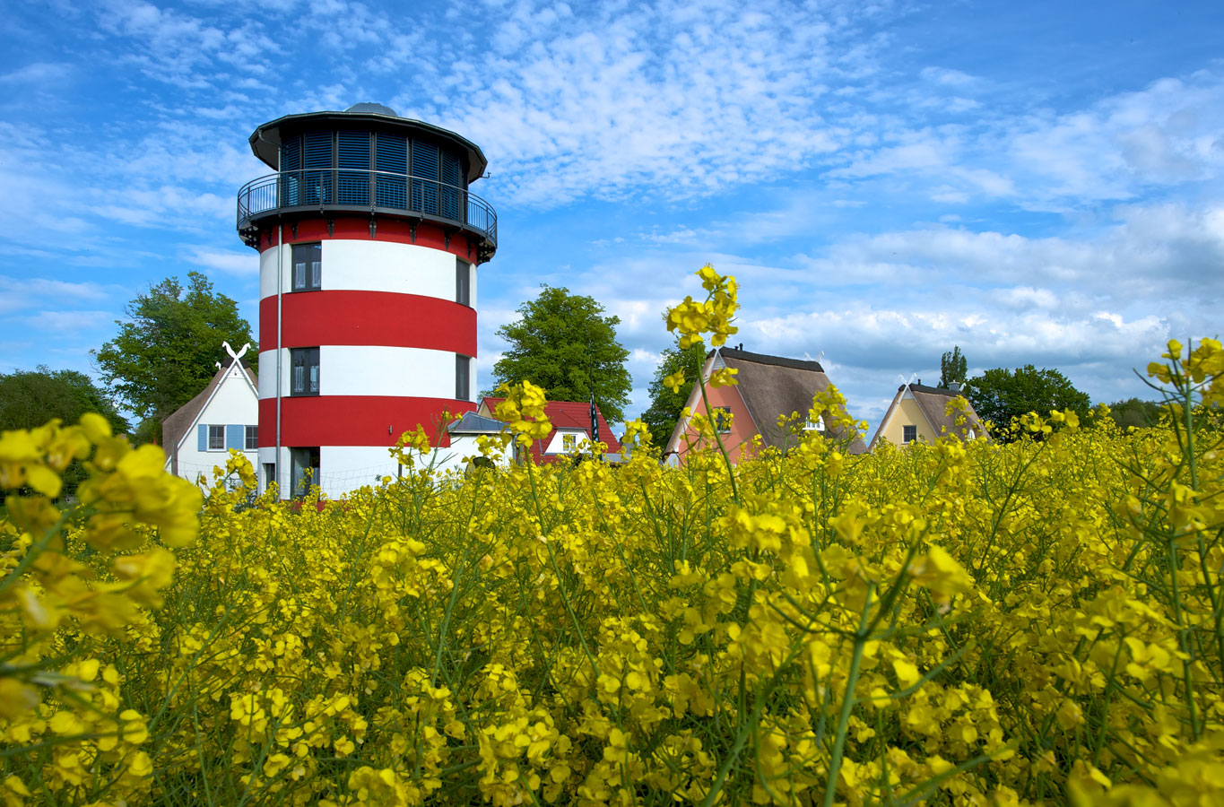 Leuchtturm Leuchty